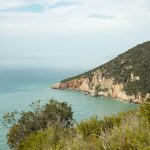 IMG_9508