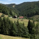 IMG_1525
